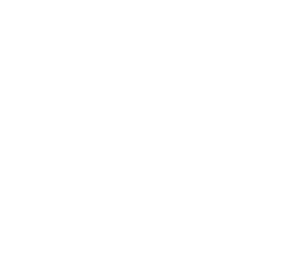 FeelBornholm logo