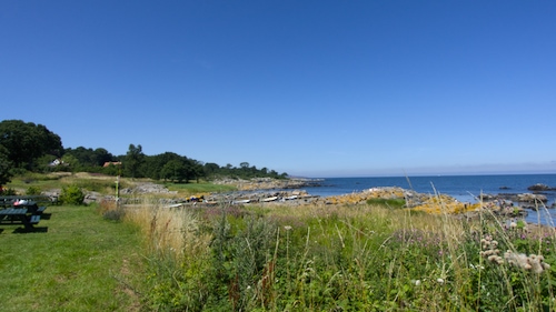Bølshavn
