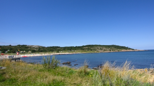 Sandvig