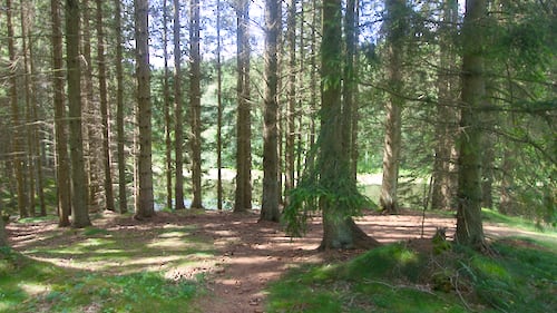 Rø Plantage