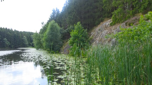 Rø Plantage - Borgedalssøen