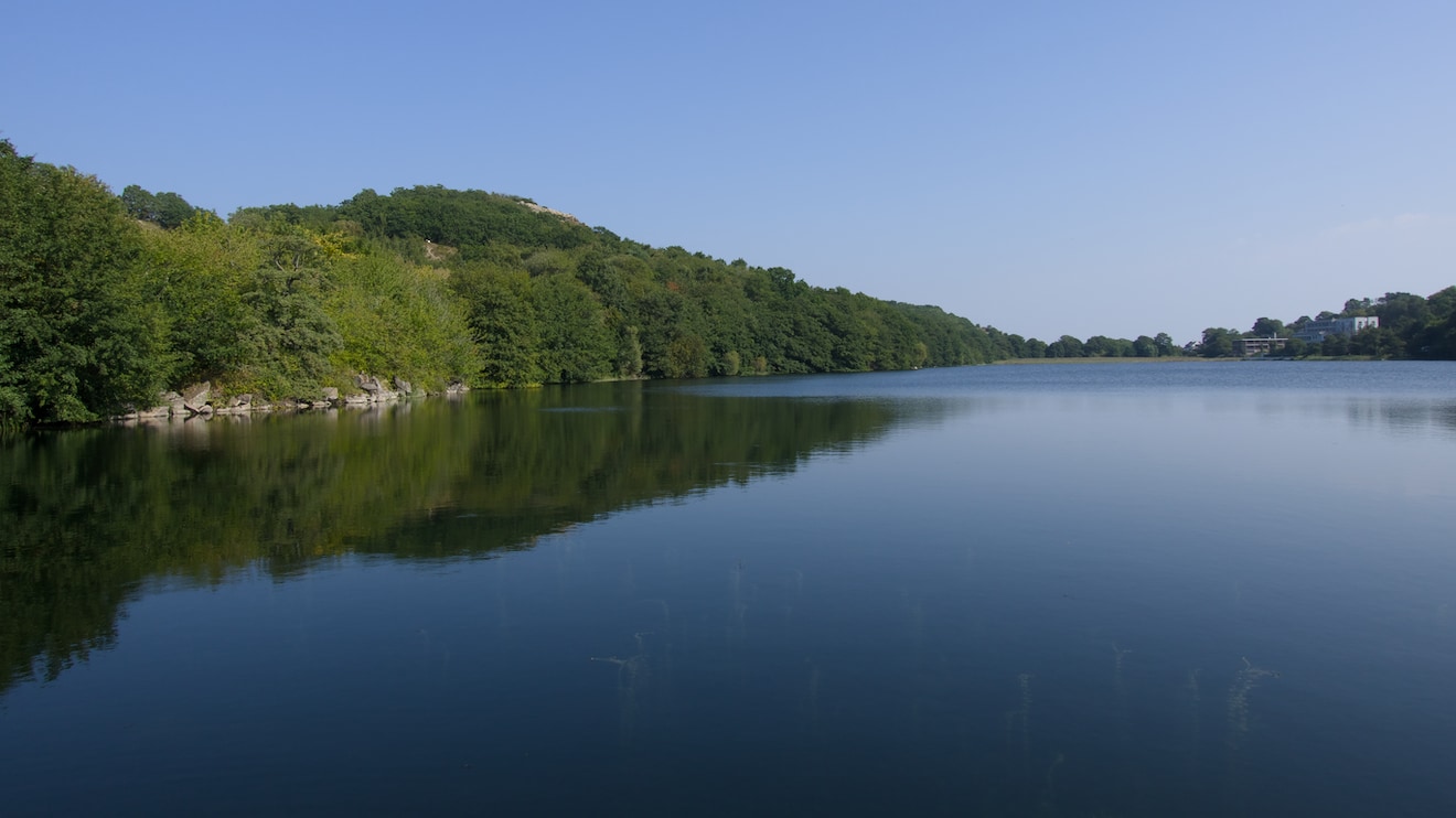 Hammersø