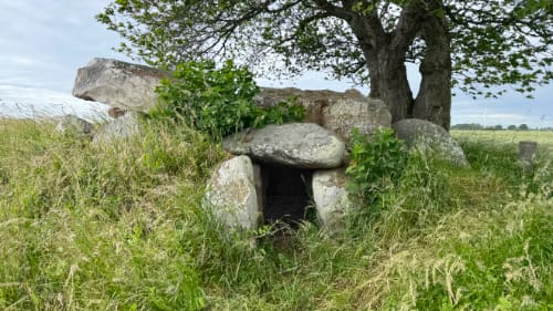 Bønnestenene
