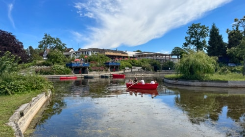 Brændesgårdshaven