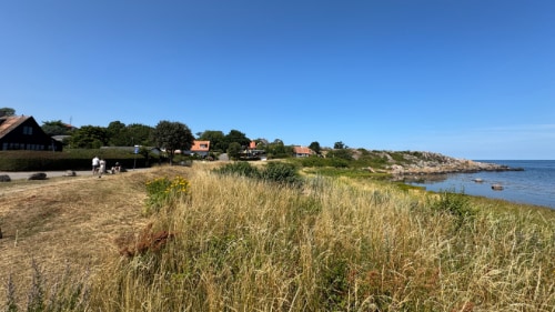 Melsted