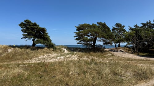 Melsted