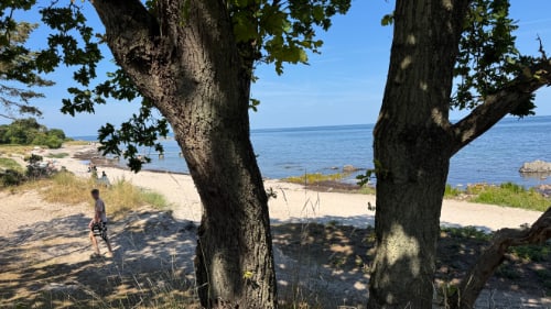 Melsted