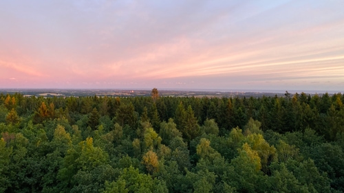 Rytterknægten