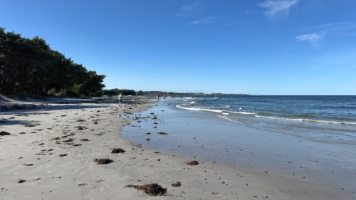 Snogebæk Strand