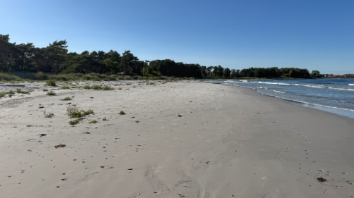 Snogebæk Strand
