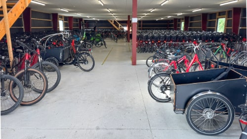 Boss Cykler – cykeludlejning på Bornholm
