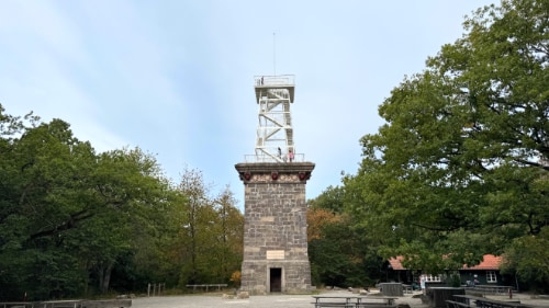 Rytterknægten