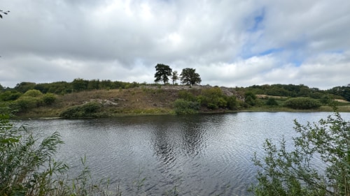 Lilleborg