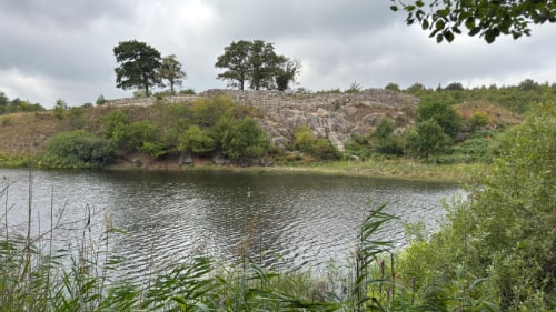 Lilleborg