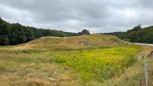 Lilleborg
