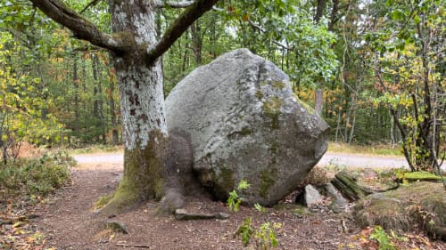 Munken - sagnsten