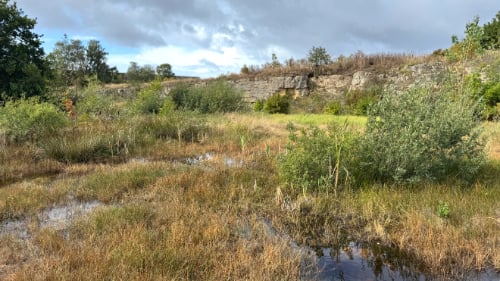 Klintebakken
