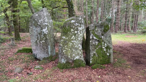 Bautasten på Hjortebakken