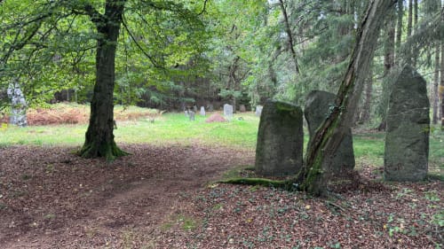 Bautasten på Hjortebakken