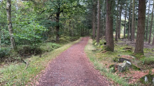 Rokkestenen i Almindingen