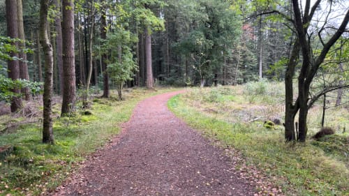 Rokkestenen i Almindingen