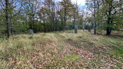Bautastenene ved Gråmyr