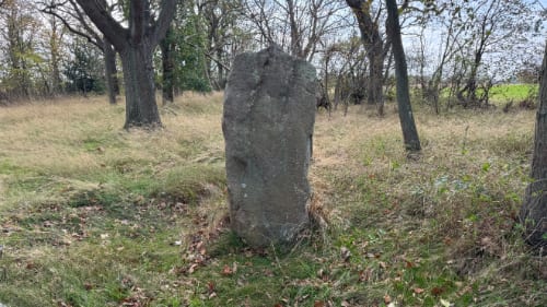 Die Bautasteine bei Gråmyr