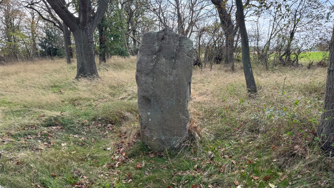 Bautastenene ved Gråmyr