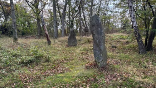 Bautastenene ved Gråmyr