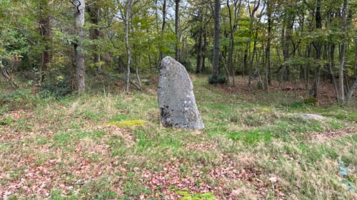 Bautastenene ved Gråmyr