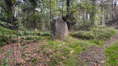 Gråmyr - Gudhjem