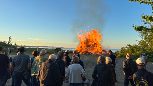Snogebæk havneområde