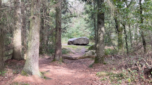 Rutsker Hoejlyng