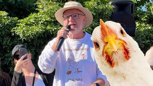 Hönsskitning i Svaneke