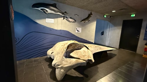 Naturbornholm