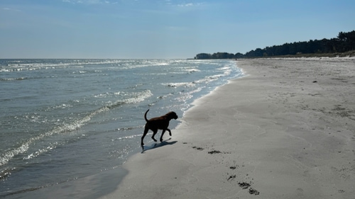 Balka Strand