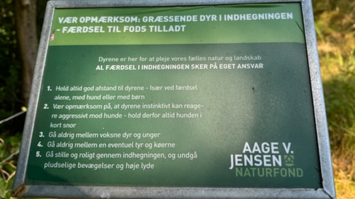Paradisbakkerne