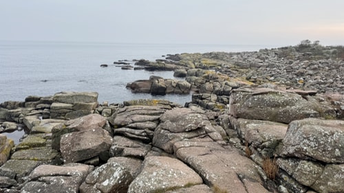 Nørremark