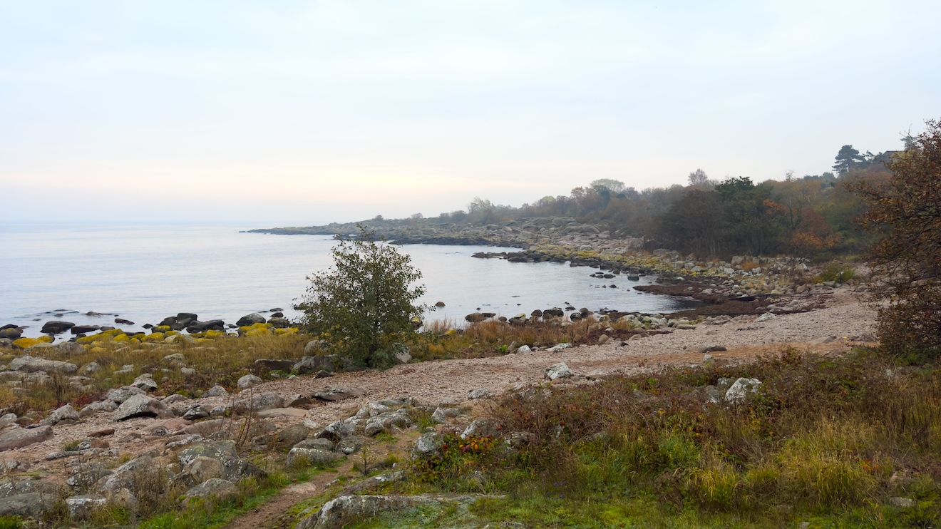 Svenskehavn