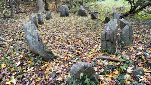 Troldskoven