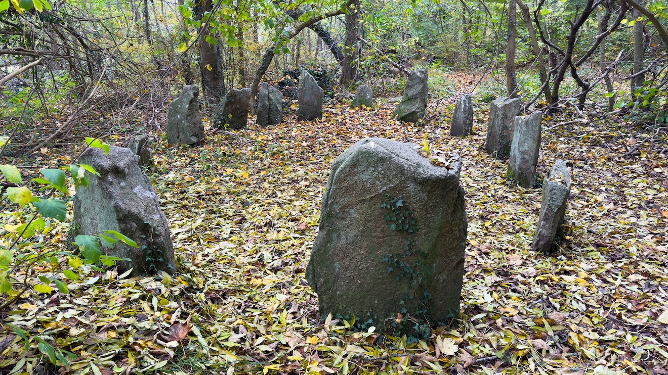 Troldskoven