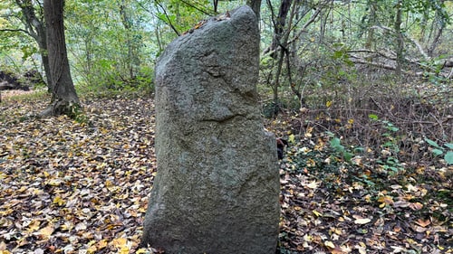 Troldskoven