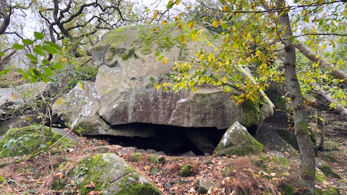 Troldskoven