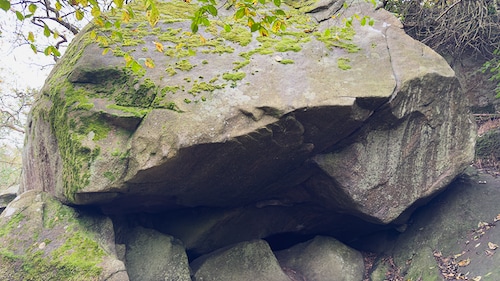 Troldskoven
