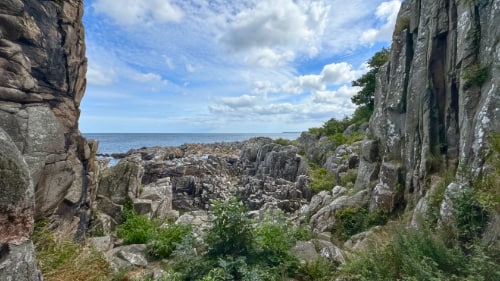 Randkløve