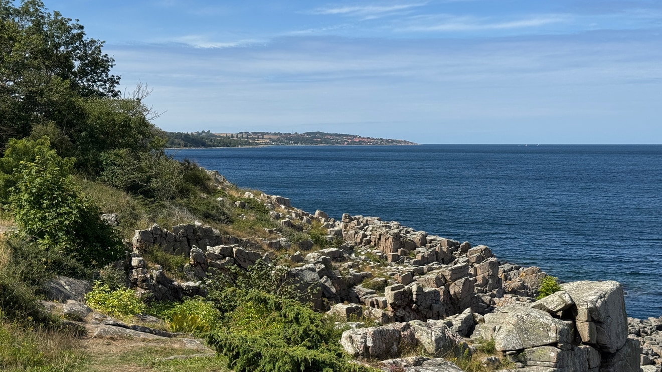 Randkløve