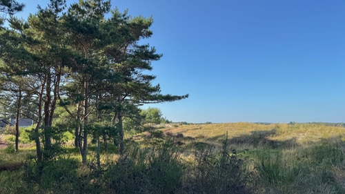 Balka strand
