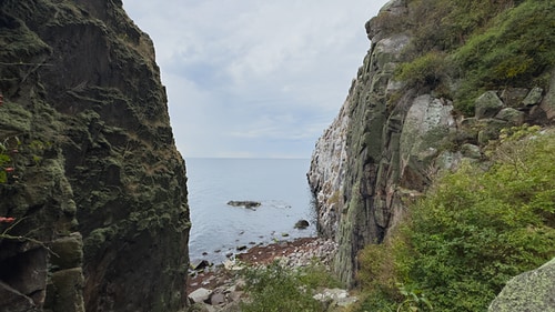 Hvidkleven