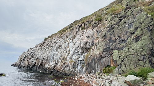 Hvidkleven