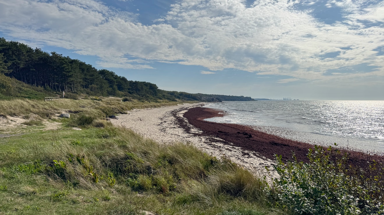 Hasle Strand